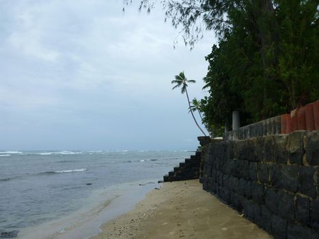 Coconut trees hang over stone wall with staircase along beach of Leahi Beach Park on Oahu, Hawaii on a beautiful day. 