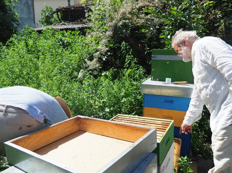 Beekeeper working with bees and beehives on the apiary. Beekeeping concept. Beekeeper harvesting honey Beekeeper on apiary.