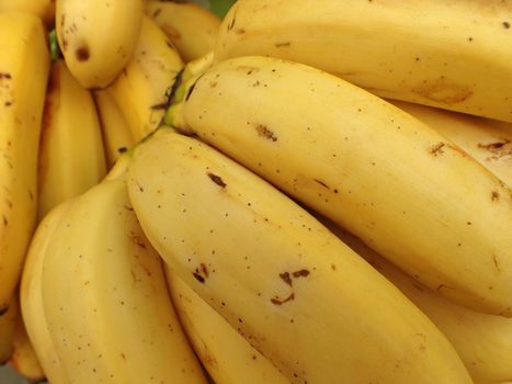 Yellow Ripe Bananas for sale at Farmers Market in Maui, Hawaii.