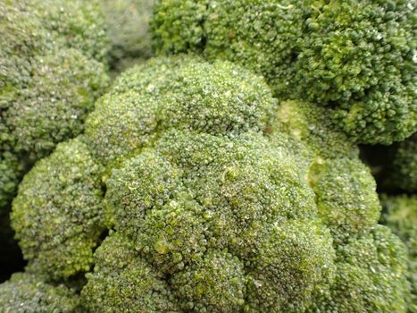 Group of fresh wet broccoli close up