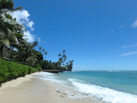 Makalei Beach with waves lapping, napakaa, and coconut trees along the shore on a wonderful day in Oahu, Hawaii.