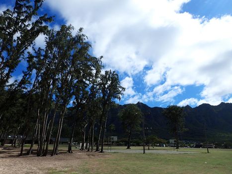 Old rusty Empty Outdoor Basketball Court next to irowood trees during the day with Mountain range in the background in Waimanalo Beach Park on Oahu, Hawaii.