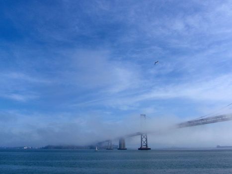 Boat sail by the San Francisco Bay Bridge with foggy covering the iconic bridge during the day with bird flying overhead.