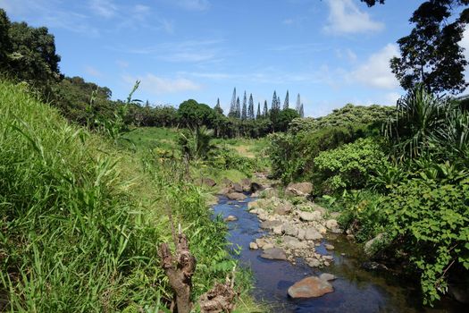 He'eia Stream filled with large boulders, rocks, and surrounded by trees and plants on Oahu, Hawaii.