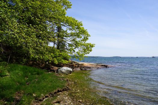 Rocky coastline lined with green trees and boats in the water on Littlejohn Island, Yarmouth, Maine.