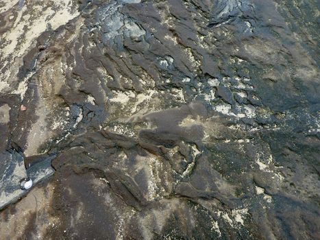 Cracked weathered Lava rock with bits of sand and puddles of water on top on Oahu's Diamondhead beach.         