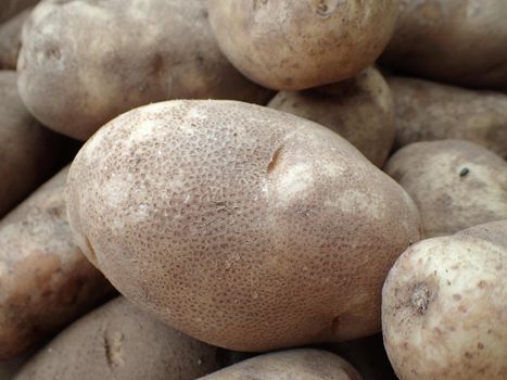 Russel Potatoes on display at Farmers Market in Maui.