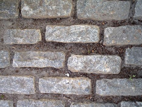 Looking down at Gray Cobble stone path with bits of dirt.