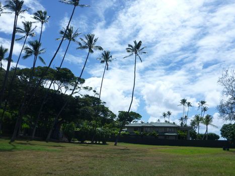 Grass field with Coconut trees and nice house in the distance at Leahi Beach Park on Oahu, Hawaii on a beautiful day.