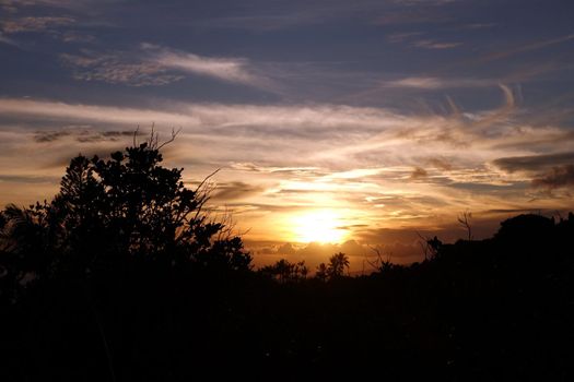 Sunset past tropical silhouette of trees through swirling clouds on Oahu, Hawaii.