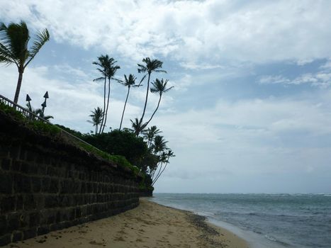 Sand Beach with Lava Rock Wall and Coconut tree overhead on Oahu, Hawaii.