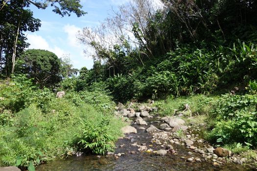 He'eia Stream filled with large boulders, rocks, and surrounded by trees and plants on Oahu, Hawaii.