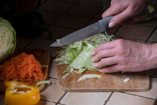 a woman cuts cabbage in the kitchen against the background of fresh vegetables, ingredients for step by step cooking soup. High quality photo
