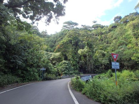 One lane bridge with Yield to Oncoming Traffic Sign on the road to Hana from the island of Maui Hawaii which features a diversity of nature, lush tropical green foliage, and beautiful skys.  The road is know for it's challenging drive.