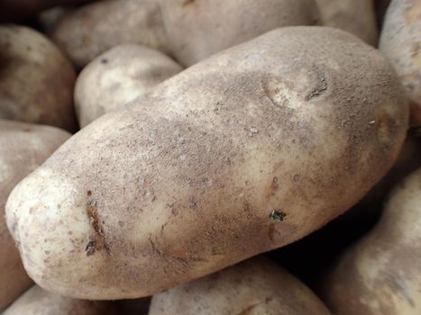 Russel Potatoes on display at Farmers Market in Maui.