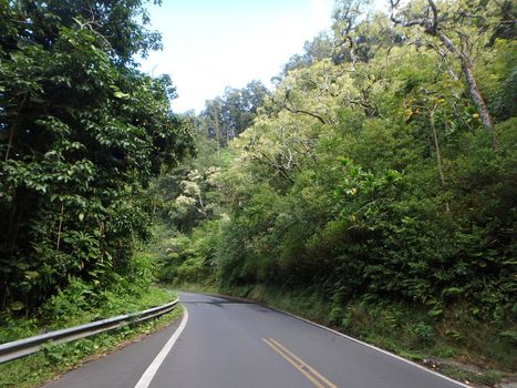 A beautiful view of road to Hana from the island of Maui Hawaii, showing its diversity of nature, lush tropical green foliage, and beautiful sky.  The road is know for it's twist and turns along a stunning nature path.