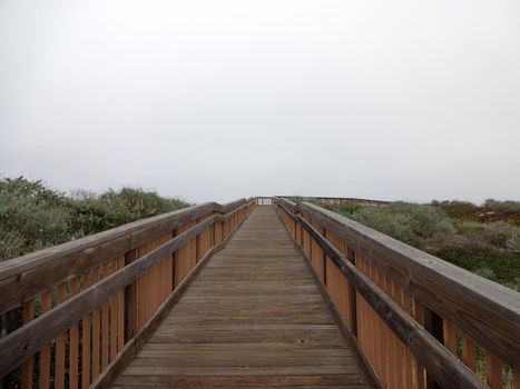 Long Wooden Path with wood railings to the beach surrounded by bush vegetation on a foggy day in California.