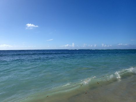 Calm water of the pacific ocean on the shore of Kahala Beach as small wave full of leafs breaks. Oahu, Hawaii.                      