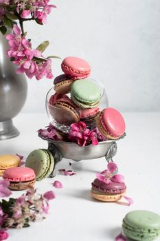 spring still life with colored macaroons and pink apple tree flowers in a pewter vase, colorful sweet food close up. High quality photo