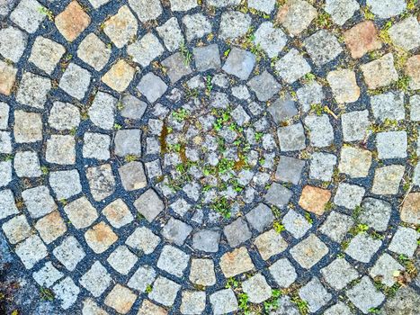 Old historical cobblestone roads and walkways all over europe