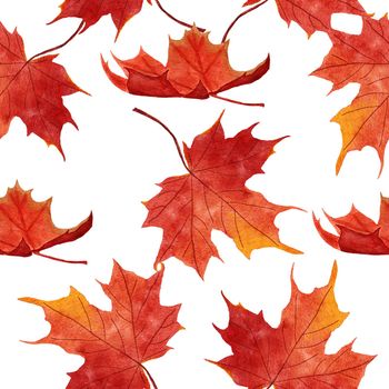 Watercolor hand drawn seamless pattern with red orange yellow fall autumn leaves, maple oak vine leaf. October september thanksgiving background with forest wood berries