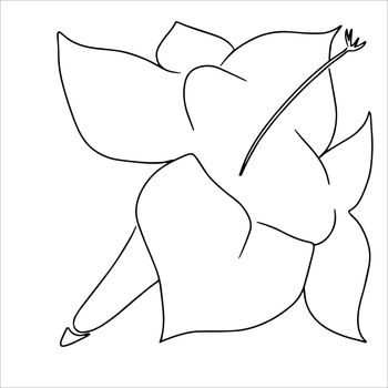 Oneline drawing flower isolated on white. Hand drawn illustration in minimalism style