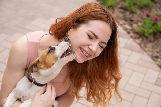 Dog jack russell terrier licks the owner in the face outdoors