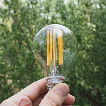 modern energy saving led bulb against green leaves