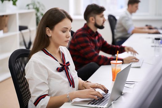 People working in modern IT office. Group of young programmers and software developers sitting at desks working on computers. Team at work.