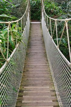 Suspended wooden bridge in the rainforest