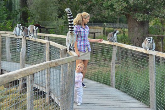 Mother and daughter playing with fluffy lemurs