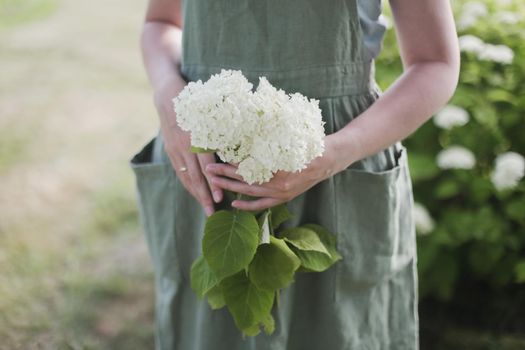 young woman in apron holding flowers in the garden in summer. gardening and profession concept