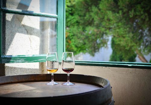 Tasting of Portuguese port red and white wine in the tasting room