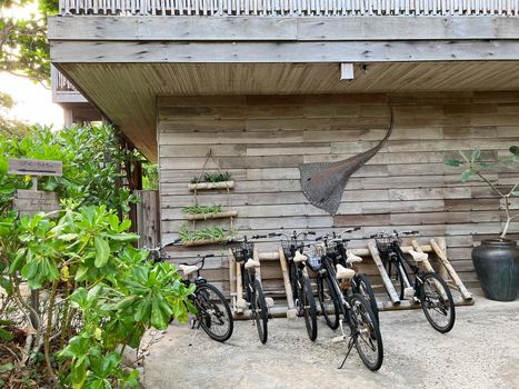 Many bicycles parked near garden gate in luxury resort