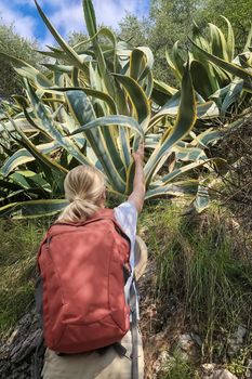 Woman with backpack on her back explores agave.