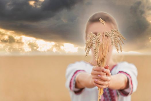 girl with wheat in her hands against the background of a field and a sunset sky