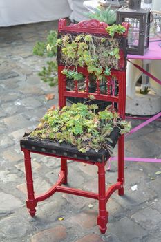 Red old chair decorated with green plants.