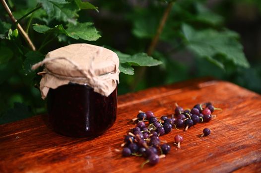 Ripe organic gooseberries scattered on a wooden table and a jar of homemade marmalade against the gooseberry bush backdrop. Still life composition of healthy wild berries and sweet canned food.