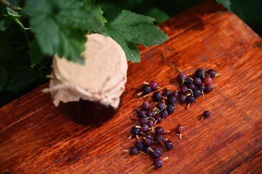 Top view of organic gooseberries scattered on a wooden table and a jar of homemade confiture against the gooseberry bush backdrop. Still life composition of healthy wild berries and sweet canned food.