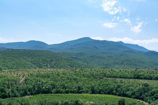 mountains in the greenery view from the air. High quality photo