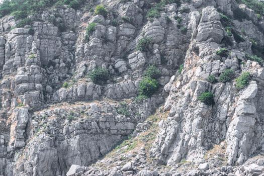 rocky mountainside with green bushes close-up. High quality photo