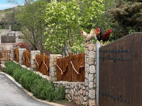 Roosters on a stone pillar of a wooden fence at the gate. High quality photo