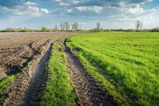 Dirt road in the field, horizon and clouds on the blue sky