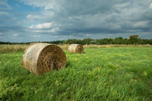 Straw bale in meadow and cloudy sky, rural view