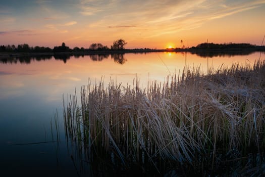 Reeds in the lake and a beautiful sunset, spring landscape, Stankow, Poland