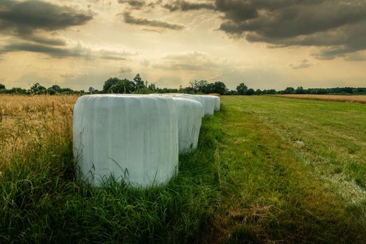 Foiled hay bales in a field and cloudy sky, summer rural view
