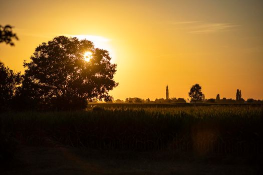 Orange sunset landscape country field scene