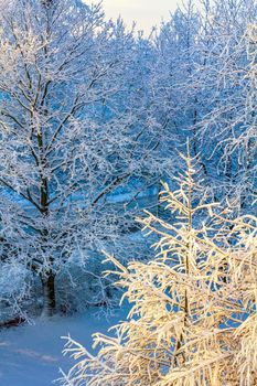 Amazing beautiful snowy winter snow and ice landscape panorama view with trees blue sky and town in Leherheide Bremerhaven Bremen Germany.