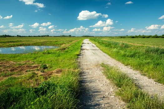 A dirt road through green meadows and blue sky, a bright summer day