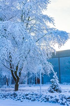 Amazing beautiful snowy winter snow and ice landscape panorama view with trees blue sky and town in Leherheide Bremerhaven Bremen Germany.